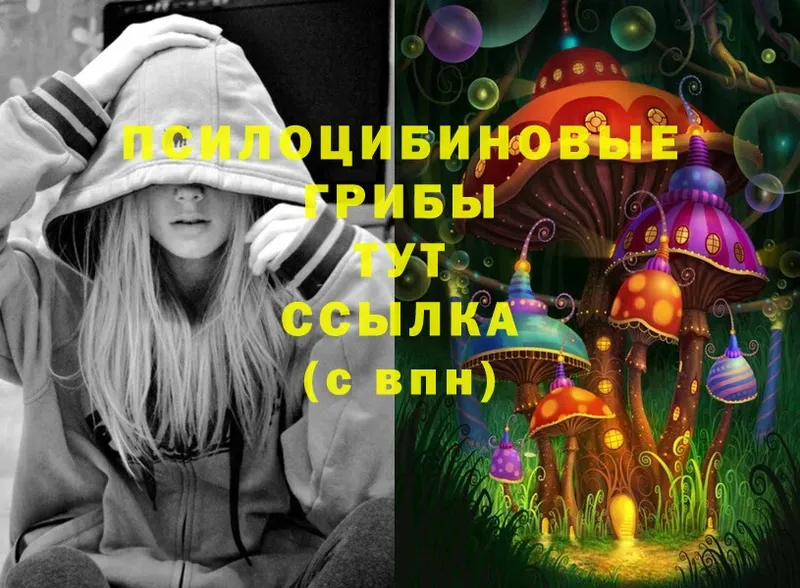 купить   Курган  Галлюциногенные грибы MAGIC MUSHROOMS 